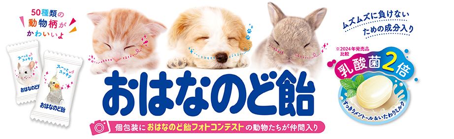 おはなのど飴